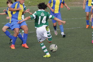 开云-德国网球队逆转法国网球队，穆雷惊艳世界